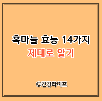 흑마늘 효능 14가지