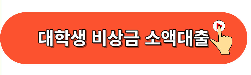 비상금-소액대출