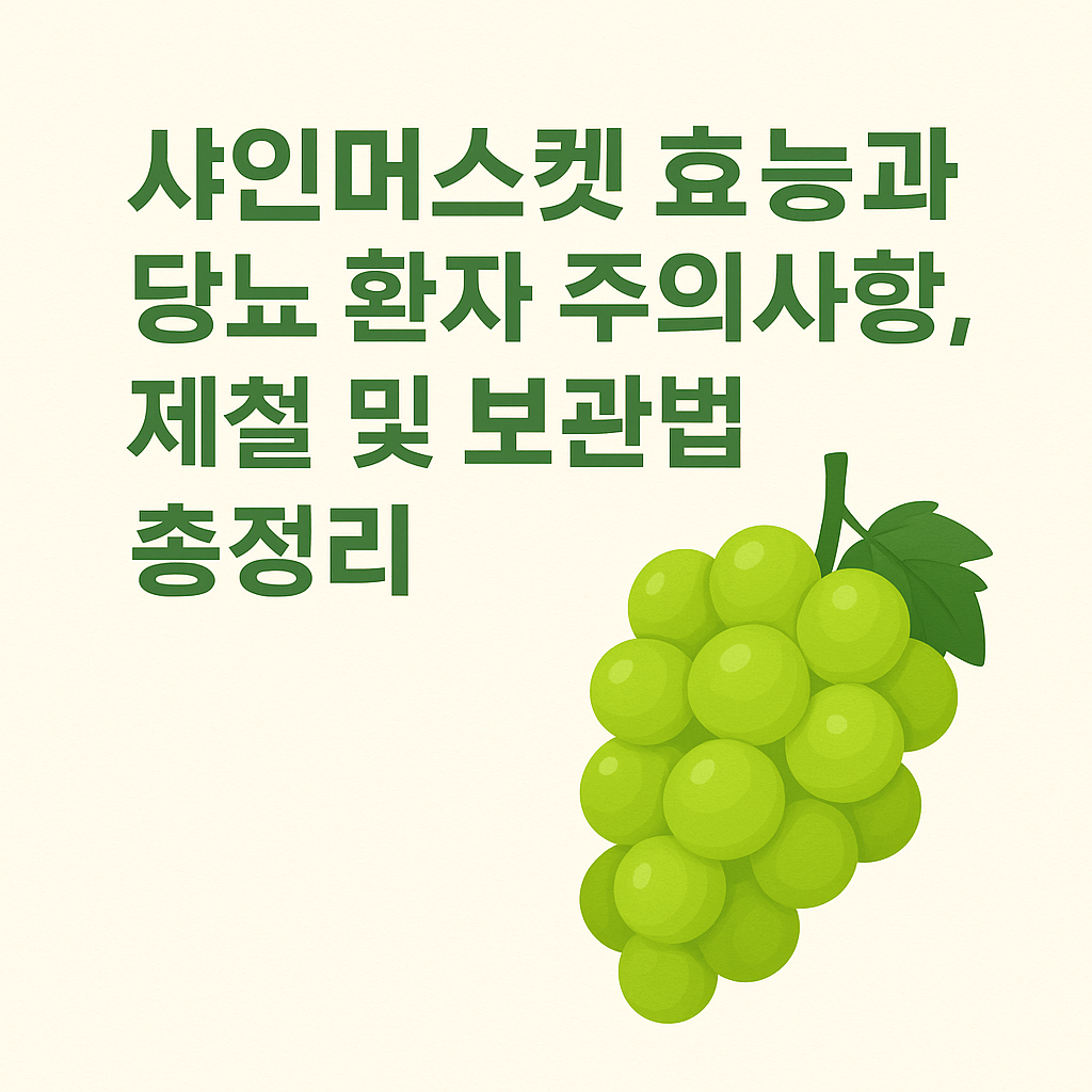 샤인머스켓 효능과 당뇨 환자 섭취 주의사항, 제철 및 보관법 총정리