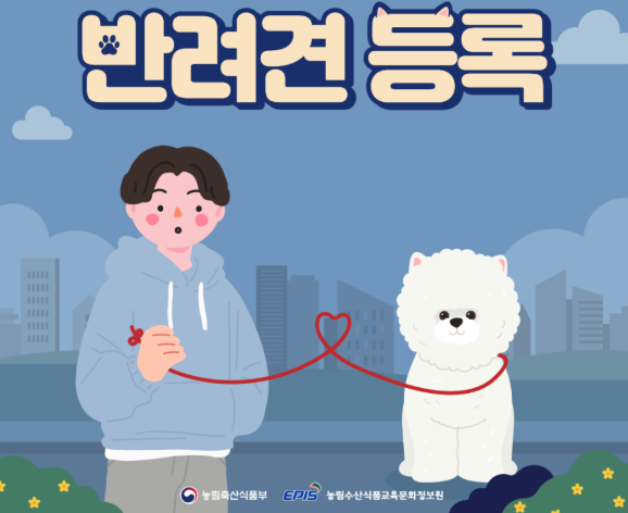 남자아이와 흰색 강아지