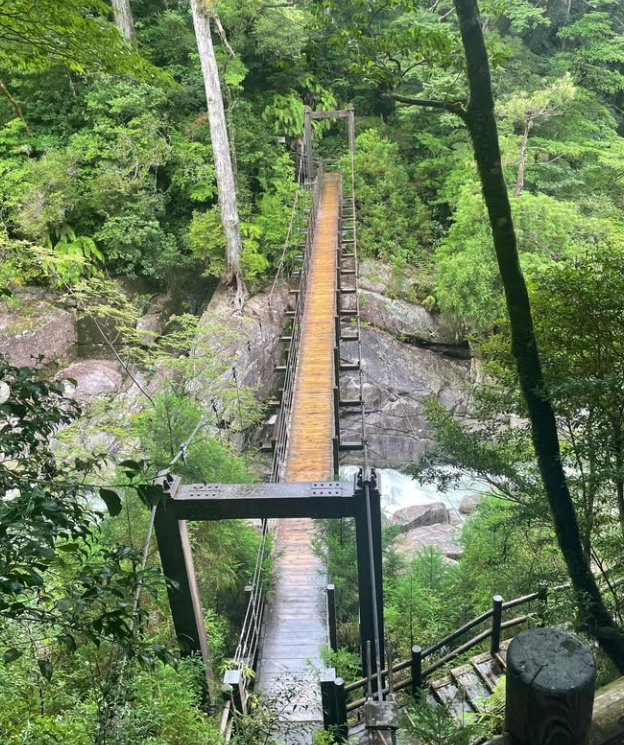 야쿠시마 트레킹 05