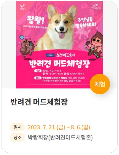 보령머드축제 기본정보