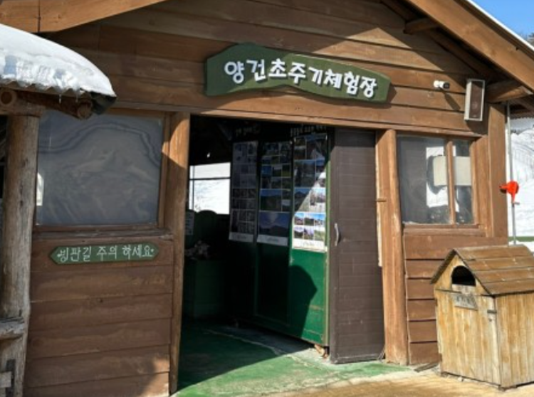 대관령 양떼목장