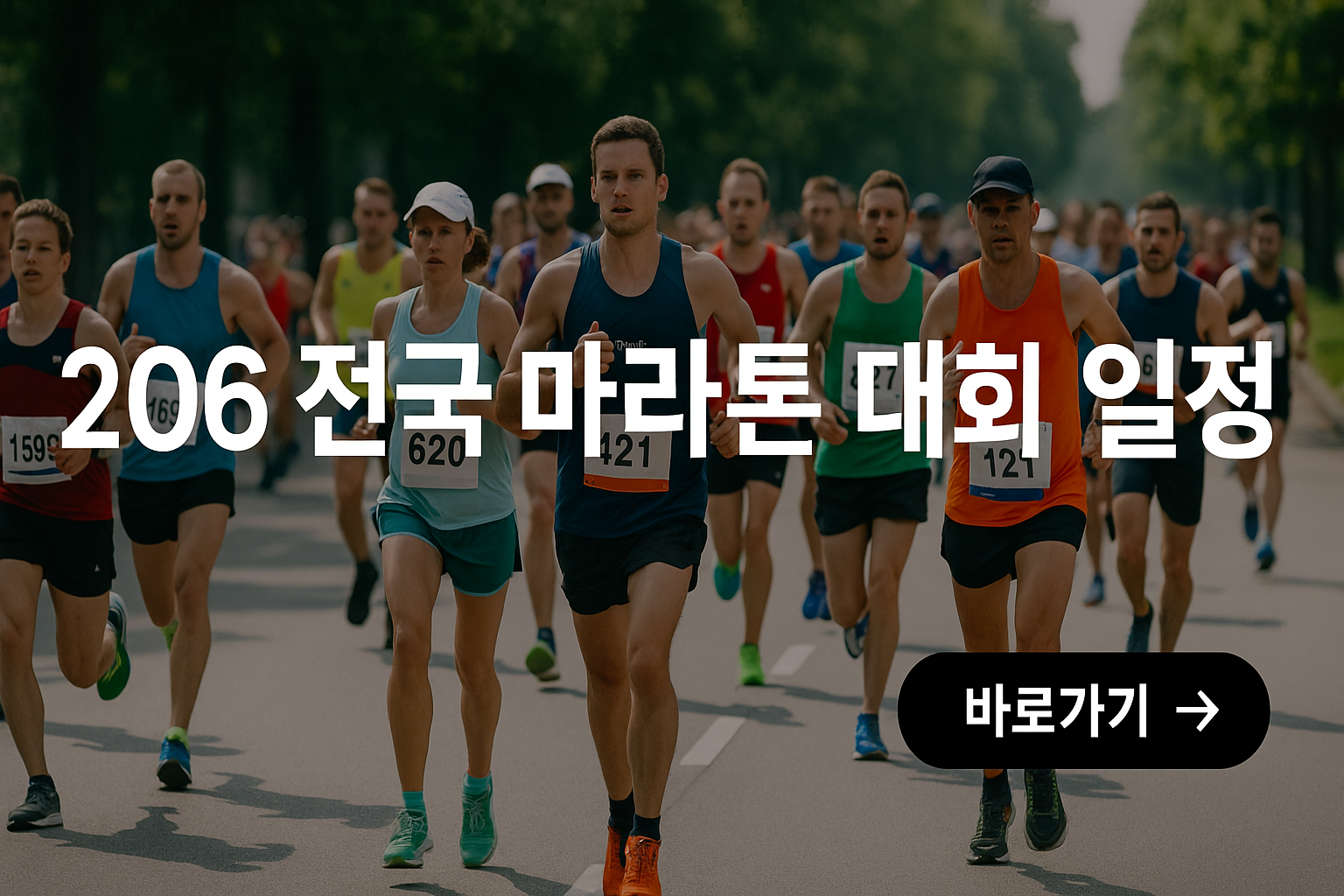 2026 전국 마라톤 대회 일정 관련 사진