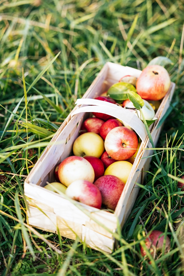 고향사랑기부제 세액공제 계산