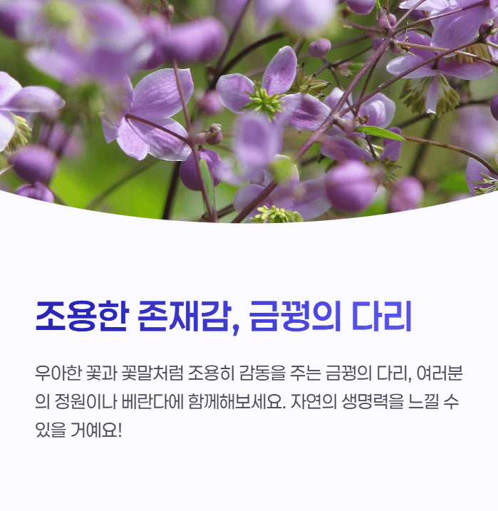 금꿩의 다리