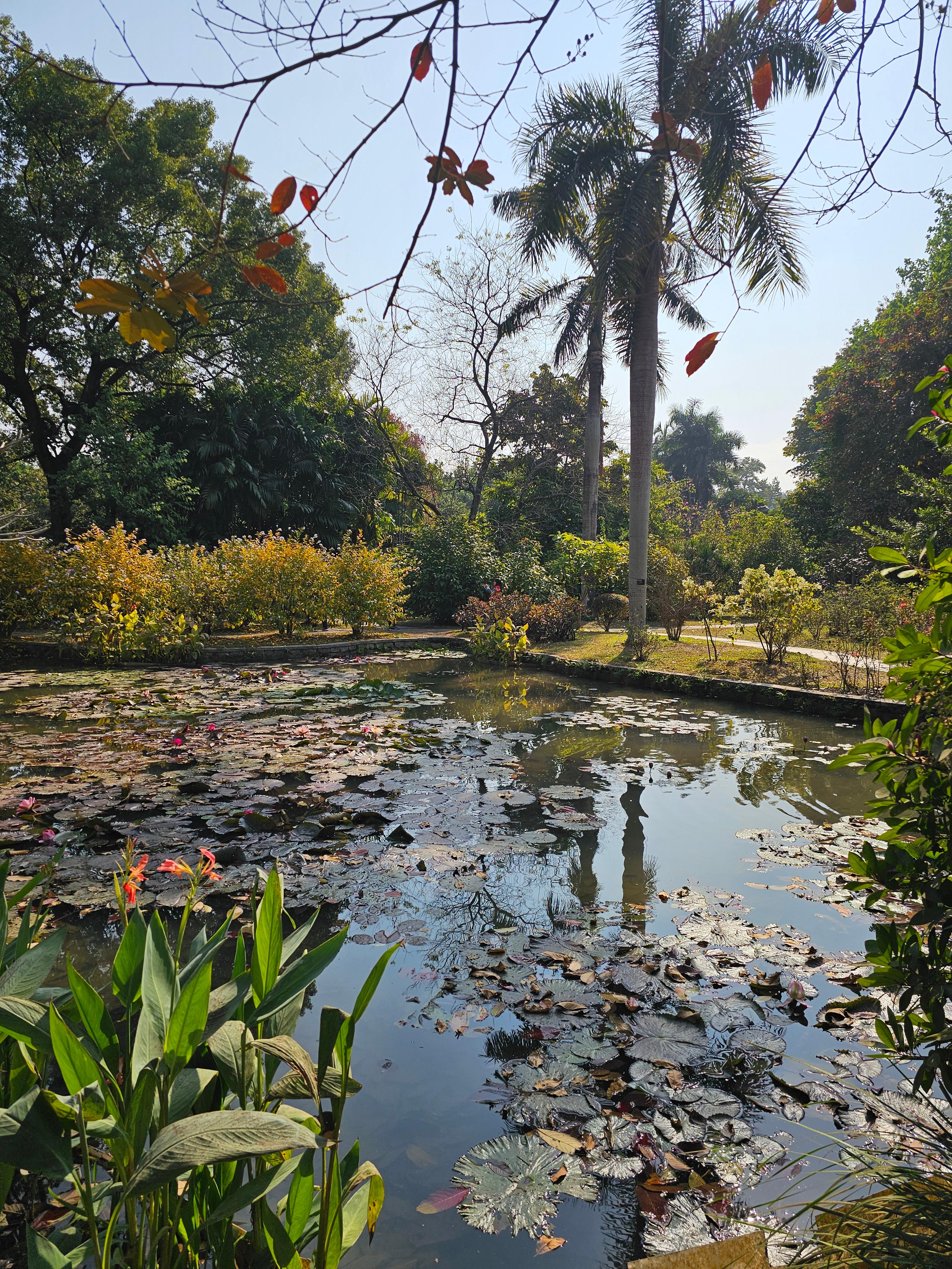 광저우 화남식물원