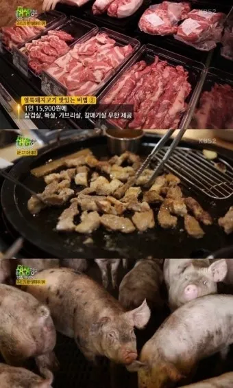 생생정보 돼지고기 무한리필 북촌삼대갈비 정보_20
