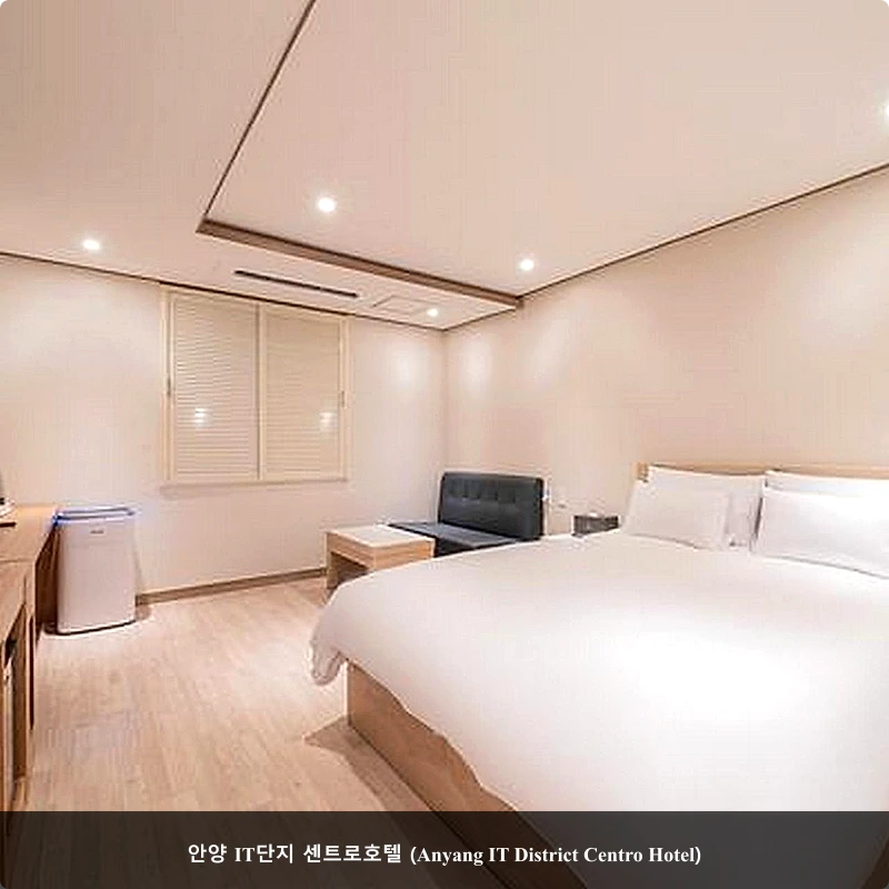 안양 IT단지 센트로호텔 (Anyang IT District Centro Hotel)_1
