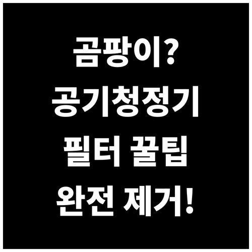 공기청정기로 곰팡이 포자 잡는 방법..