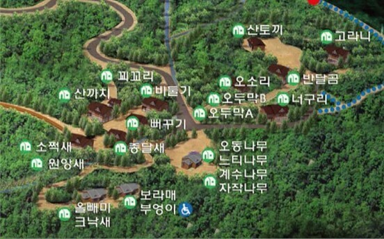 유명산자연휴양림 숙박