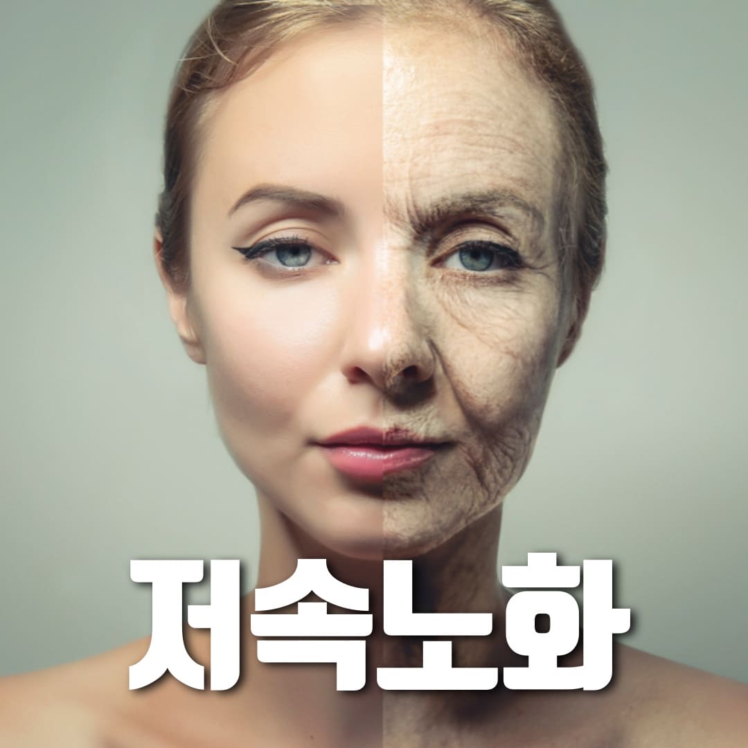 저속노화-식사법-완벽-가이드