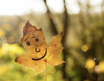 느좋뜻 의미 알아보기 느좋이란