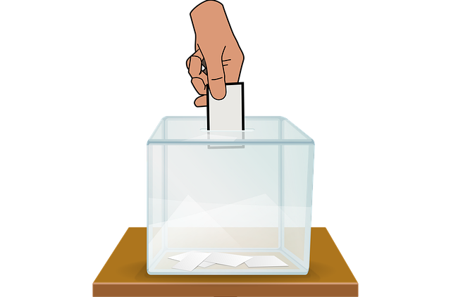 투표