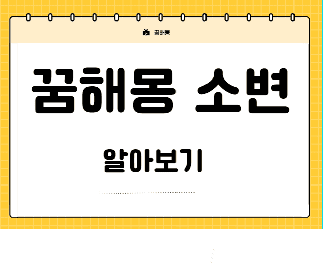꿈해몽 집