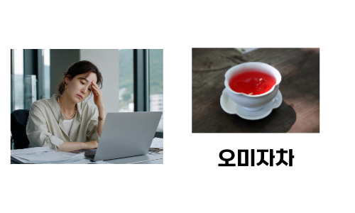 오미자차
