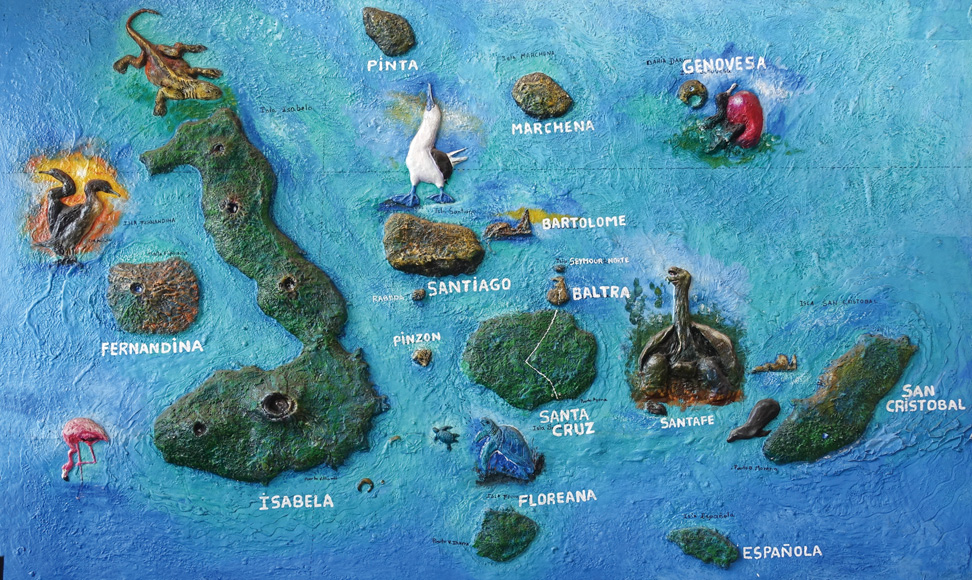 갈라파고스 증후군이란 무엇인가요?