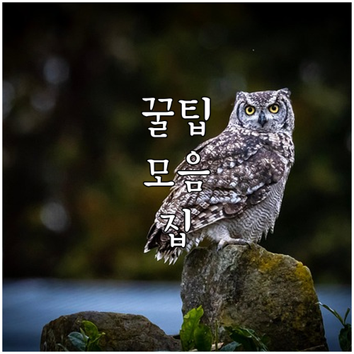 용산구 대형폐기물 스티커 구매? 온라..
