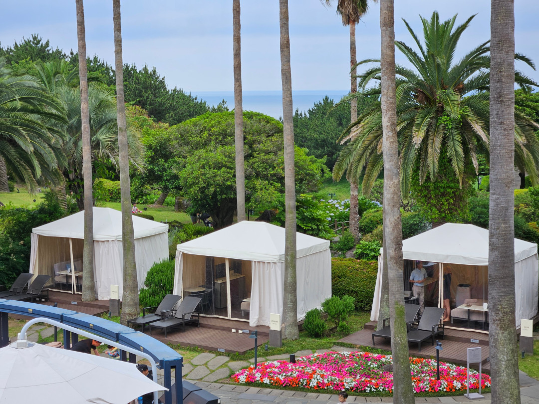 제주 신라호텔 패밀리풀 썬베드