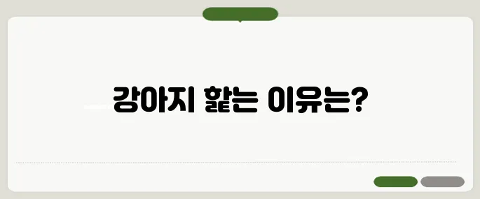 강아지가 핥는 이유 알아보기 애정일까 불안일까