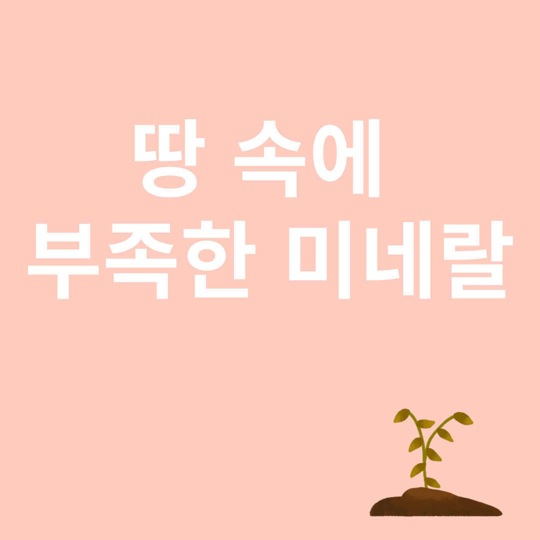 땅 속 미네랄과 관련된 이미지