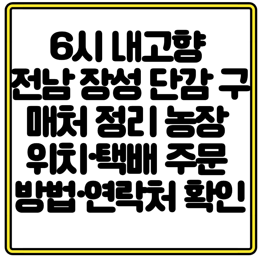 6시 내고향 전남 장성 단감 구매처 정리 농장 위치&middot;택배 주문 방법&middot;연락처 확인