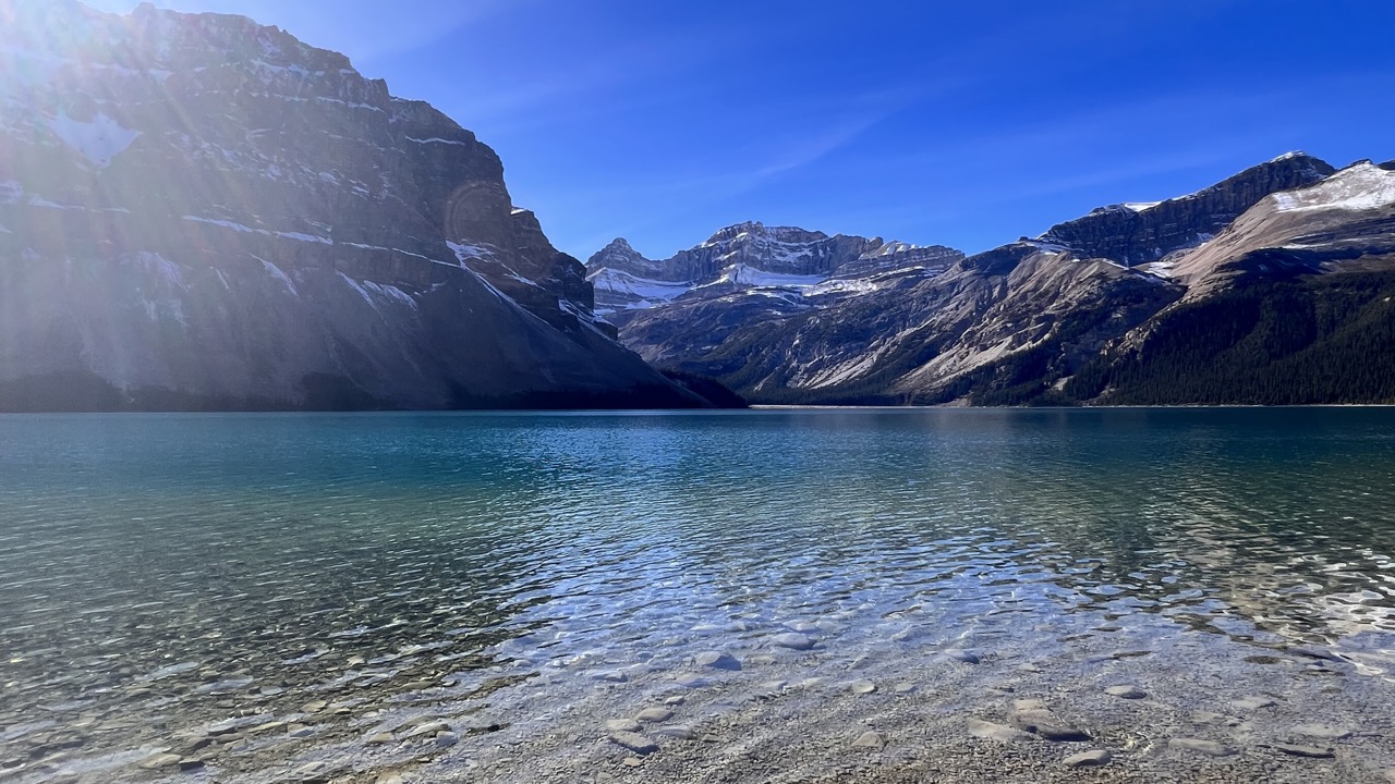 미쳤다 그냥. 바라만봐도 행복한 기분을 느낄 수 있다니
