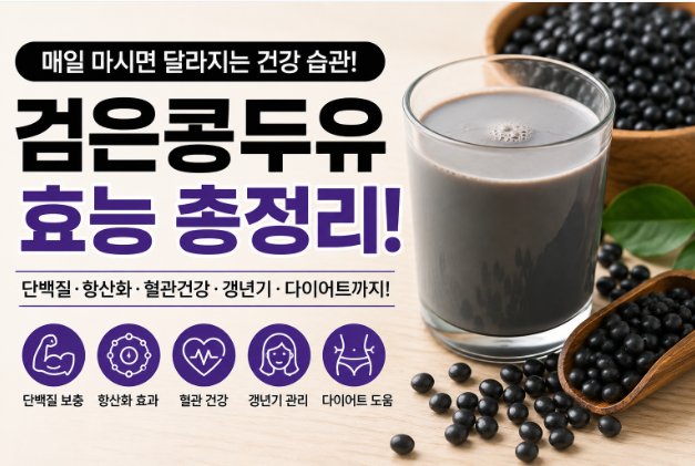 검은콩두유 효능