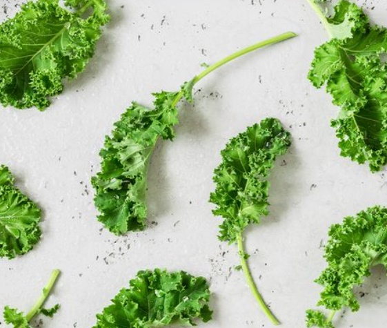 독감에 좋은 음식