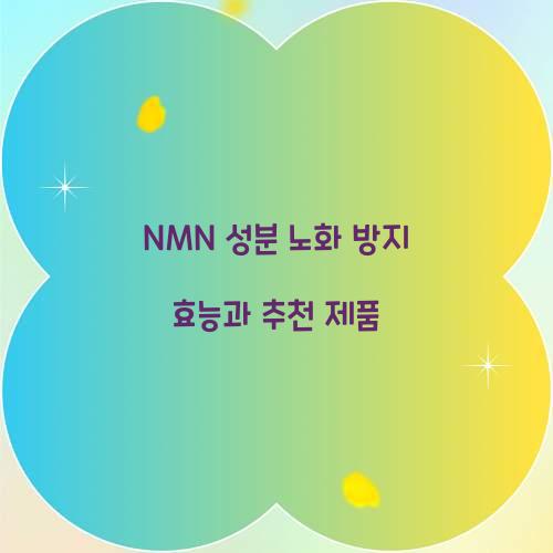 NMN 성분 노화 방지