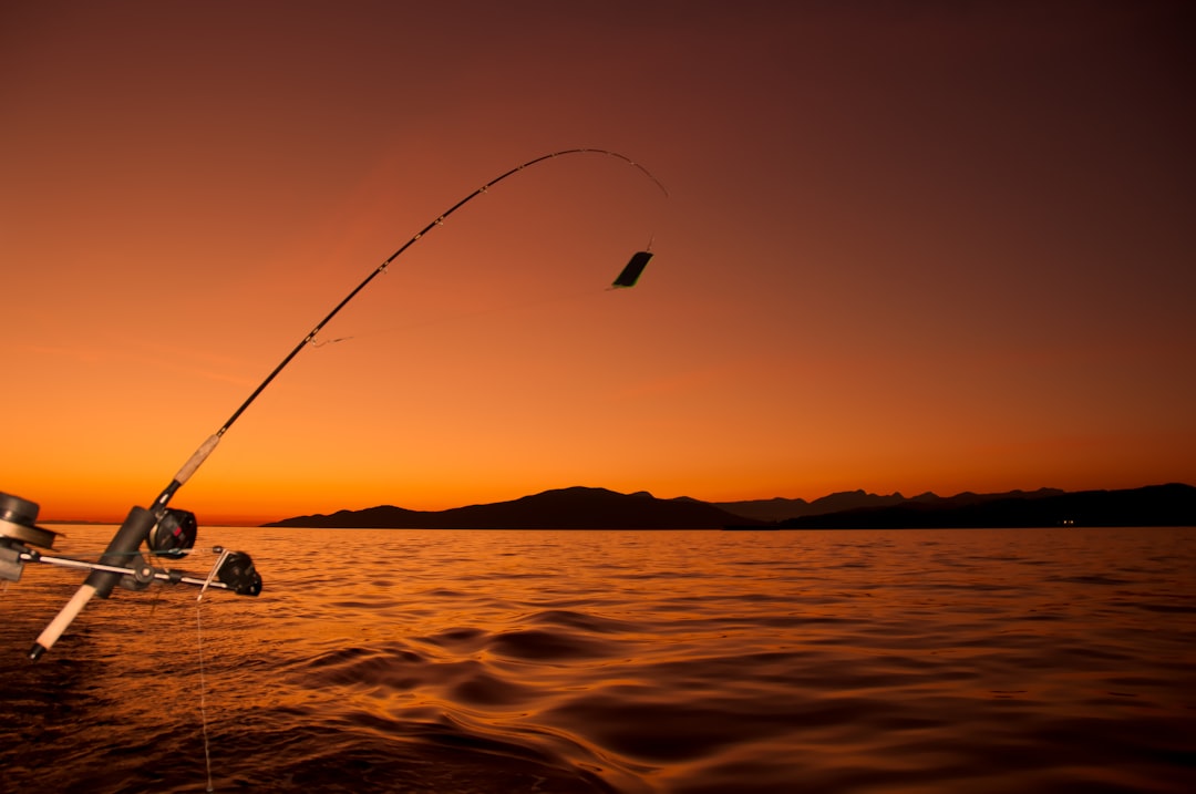 Lure
