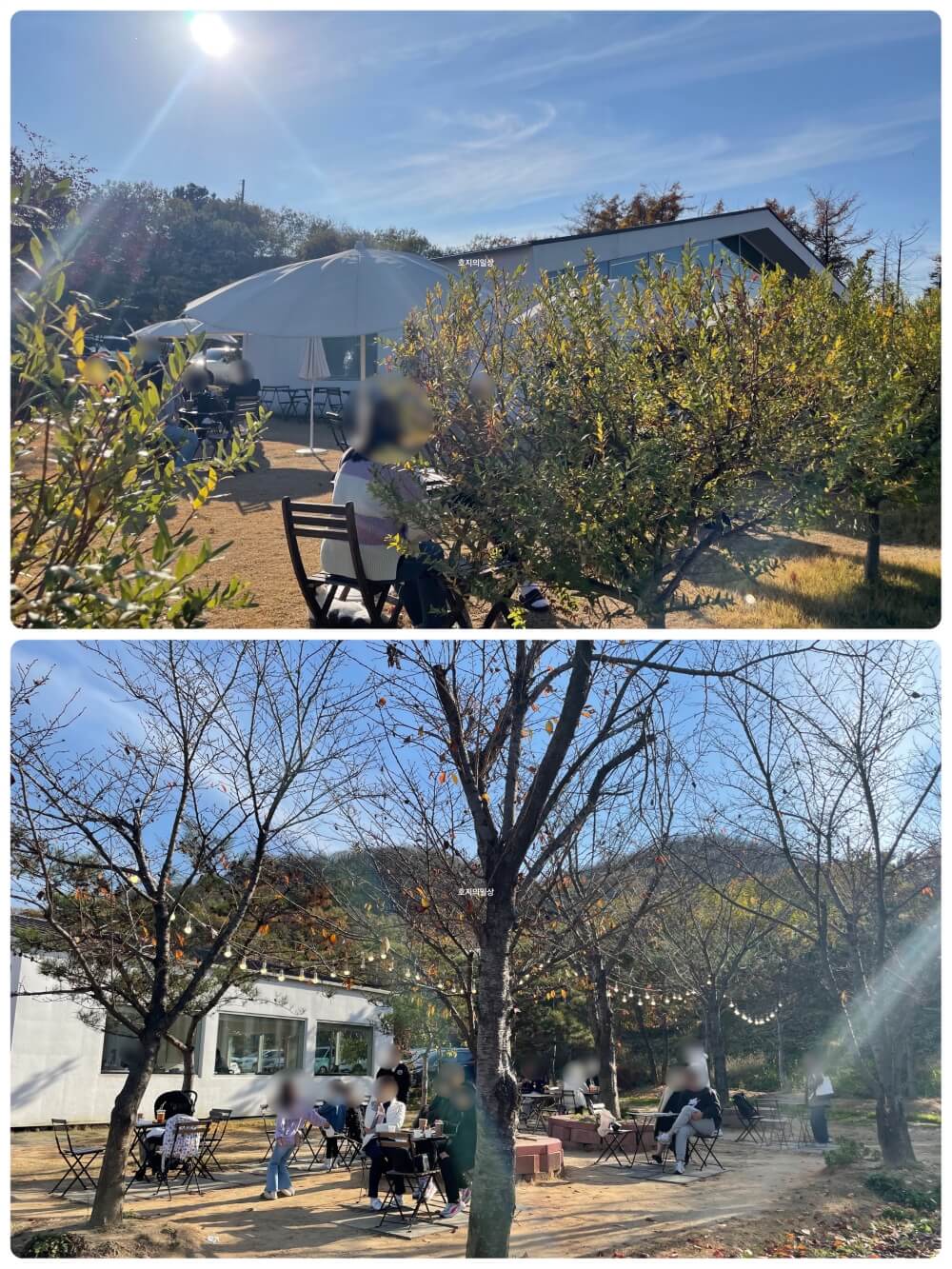 천안 성거 핑크 뮬리 뷰맛집 카페 이숲 - 야외 좌석