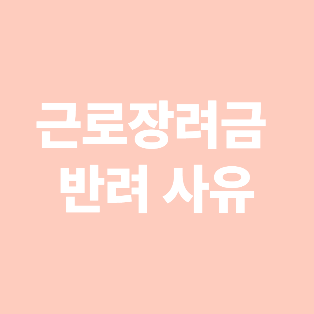 근로장려금 반려 사유