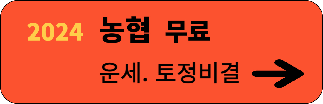 2024년 신년운세 토정비결 무료보기 3곳