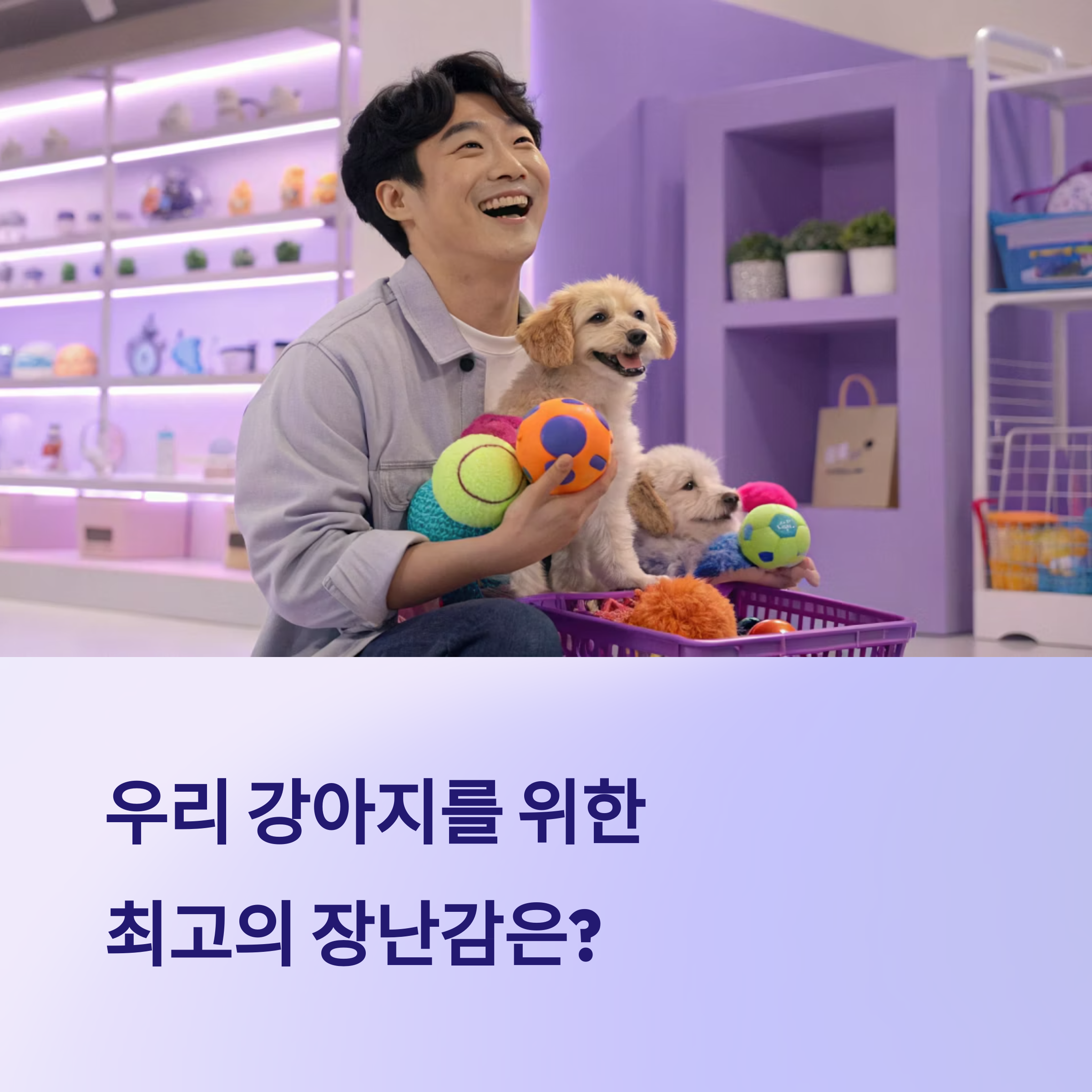 우리 강아지를 위한 장난감 완전 정리!