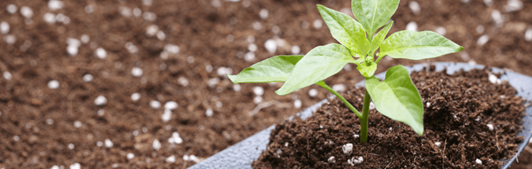 대전 음식물처리기 지원금 신청