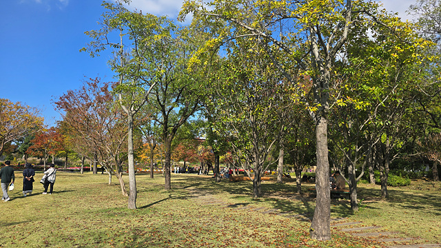 2025 순천만 국가정원 순천여행 맛집 현지인 추천 맛집 순천만 숙박