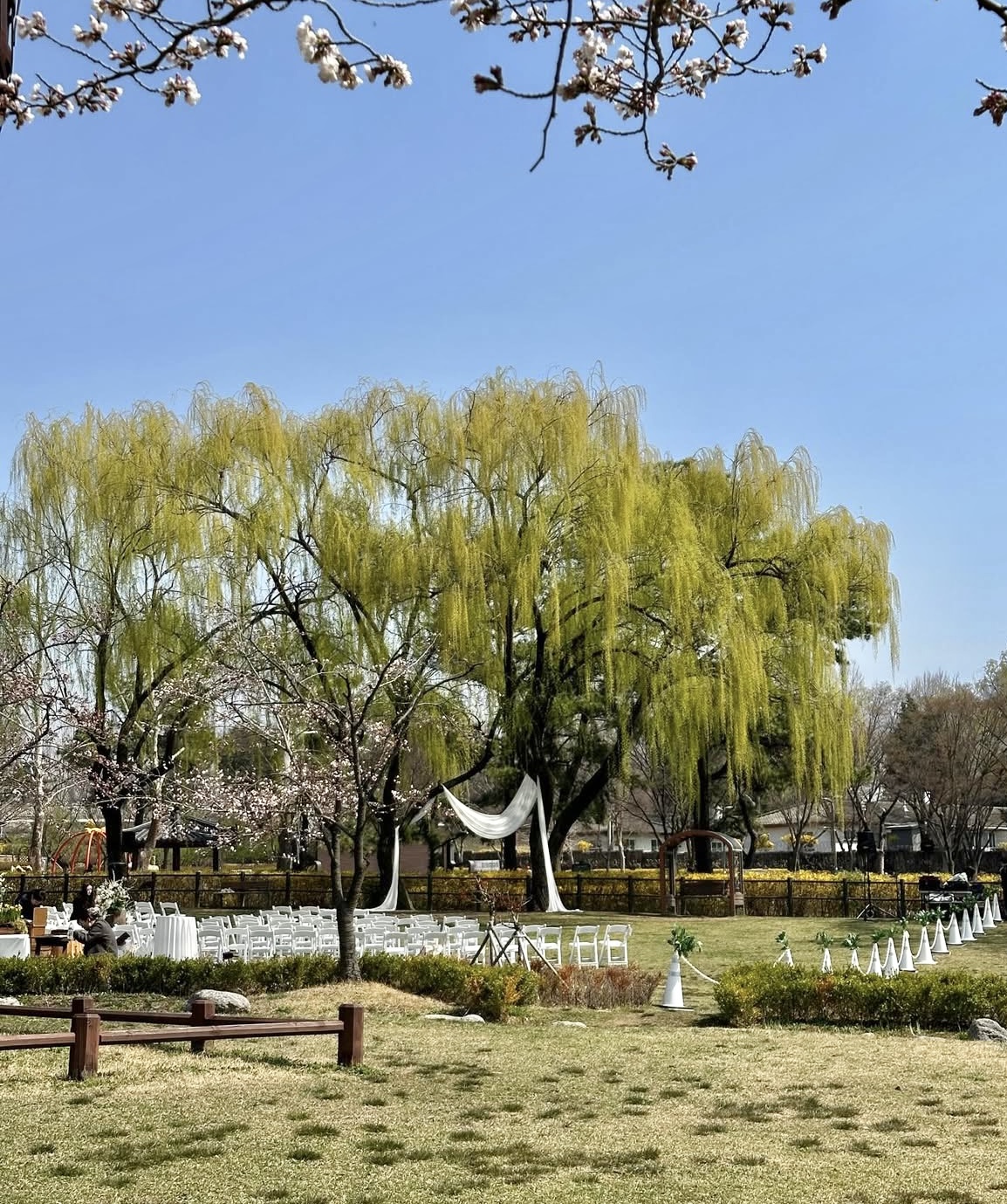 용산가족공원 K-맨발걷기 페스티벌 주차장 완벽 정리 관련사진