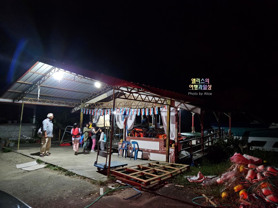 코타키나발루 나나문 반딧불 투어 원숭이 리버크루즈 후기