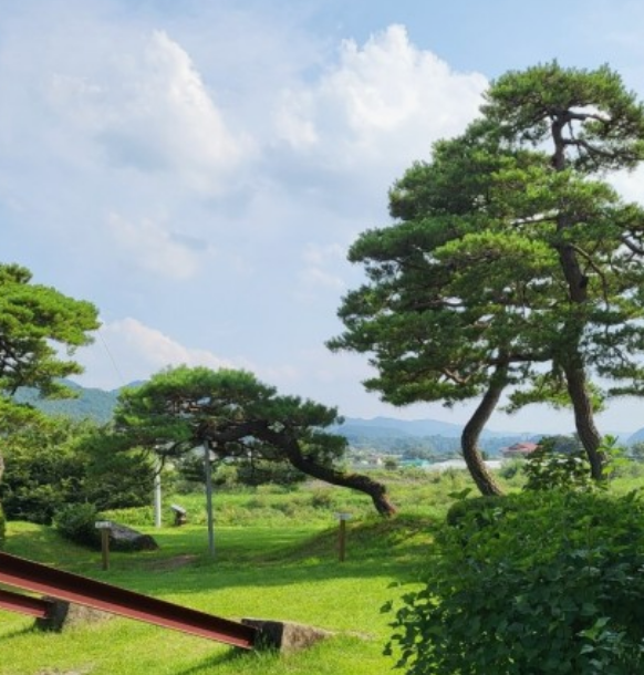 가을에 꼭 가야 하는 억새 명소