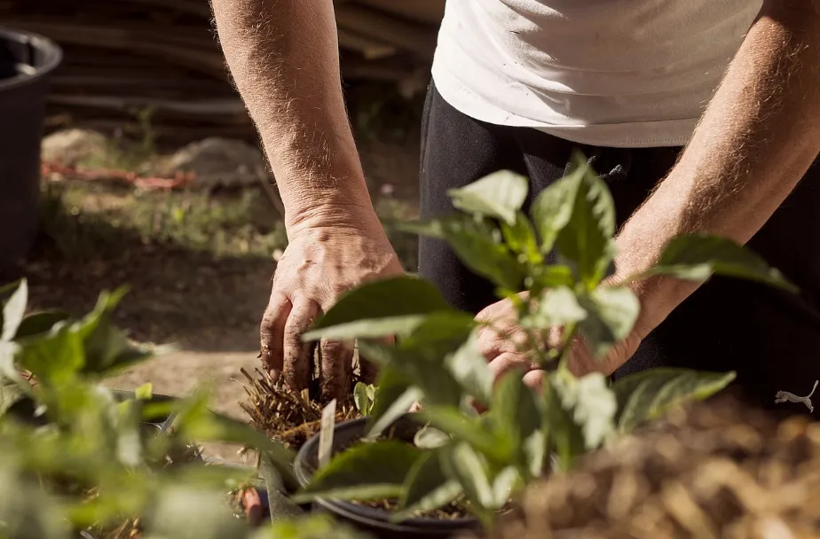 고무장갑의 다양한 활용법 - 1