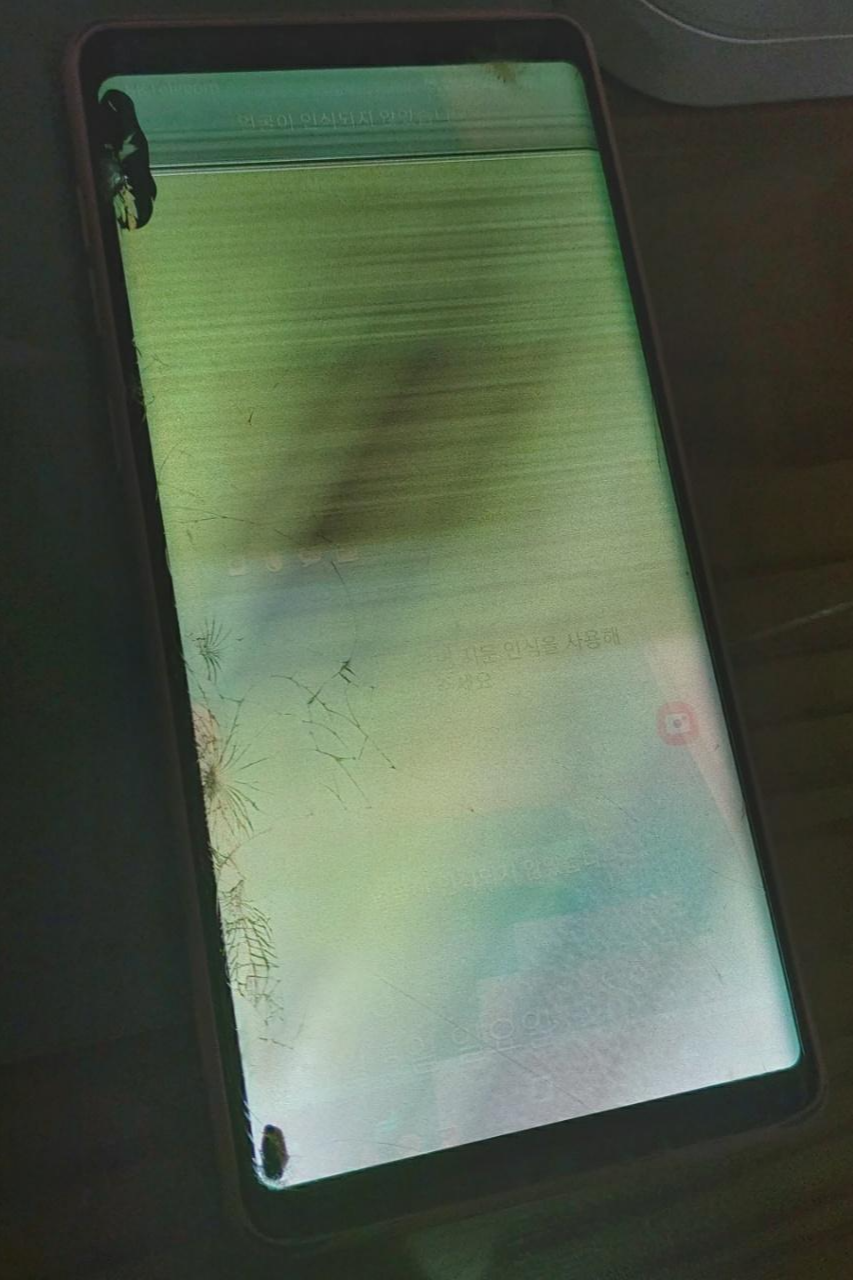 갤럭시 노트9의 액정이 깨져서 초록색 노이즈가 생겼다