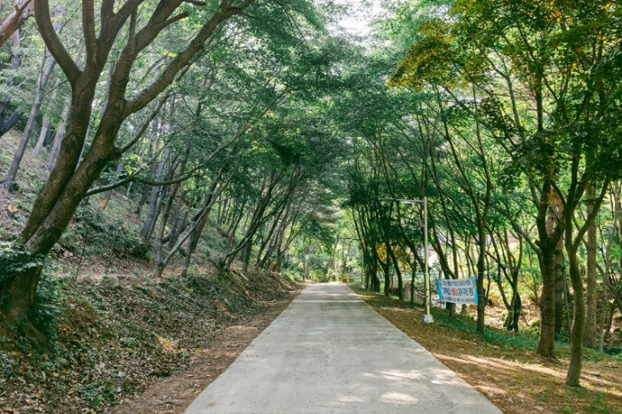 국립 용현자연휴양림