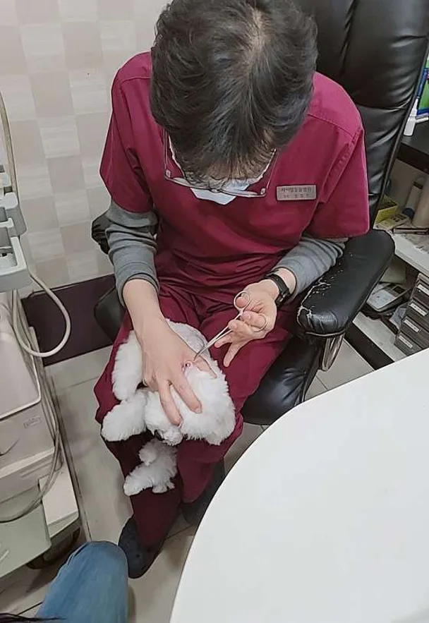 제이엘동물병원