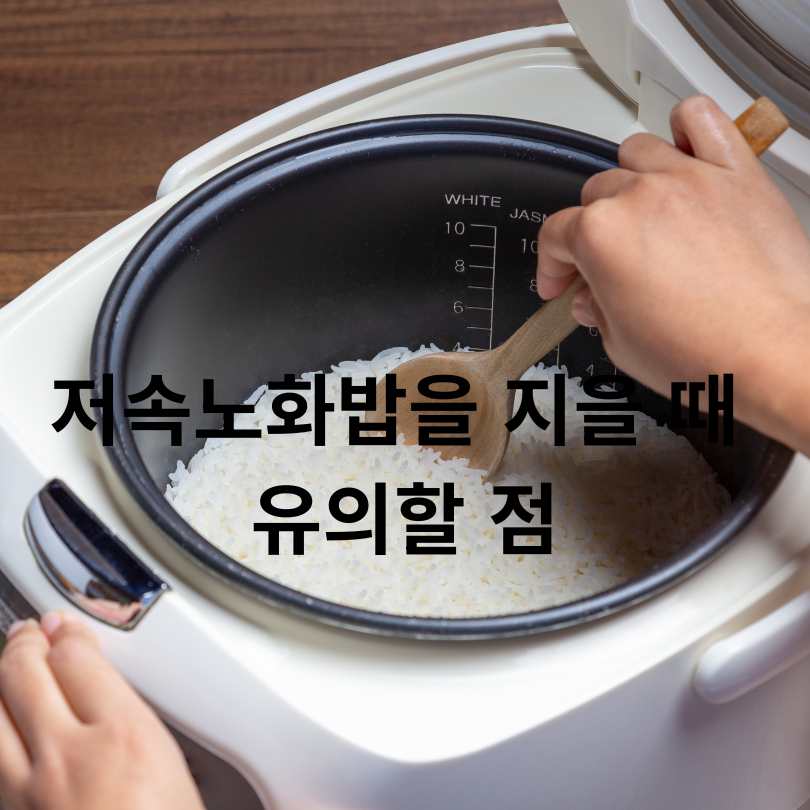 저속노화밥 효과와 저속노화밥 황금비율 공개! 