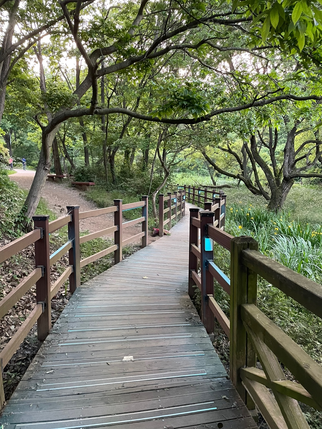 군산 여행 추천 - 월명공원 소개