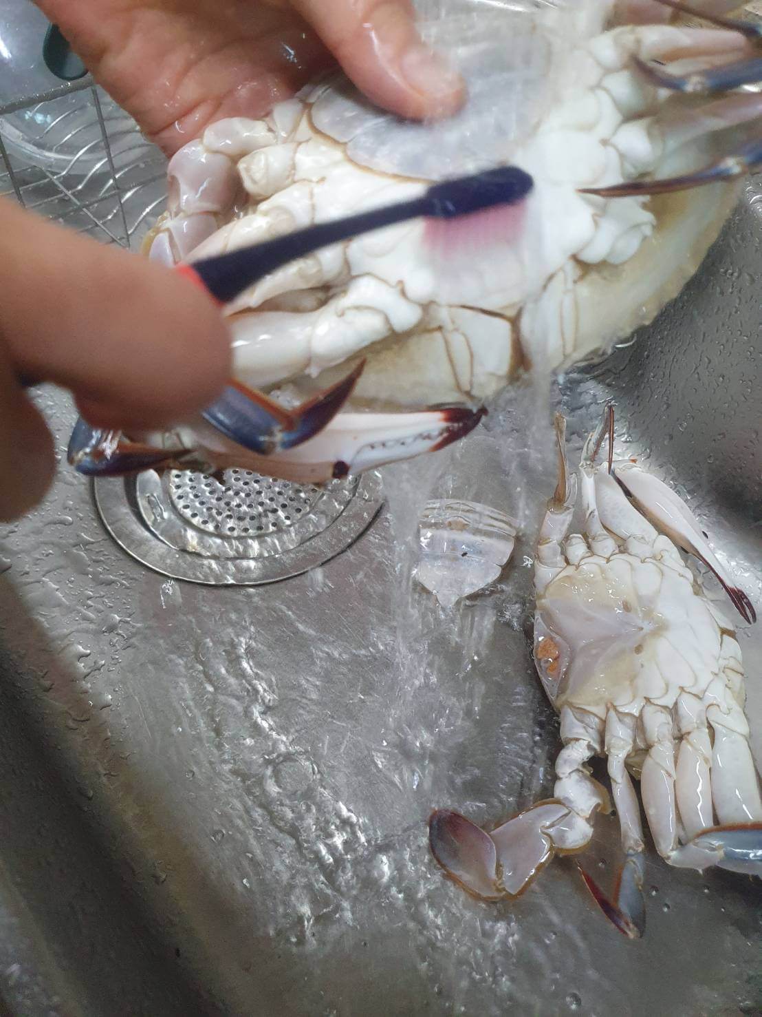 양념 꽃게 무침