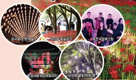 영광 불갑산 상사화축제