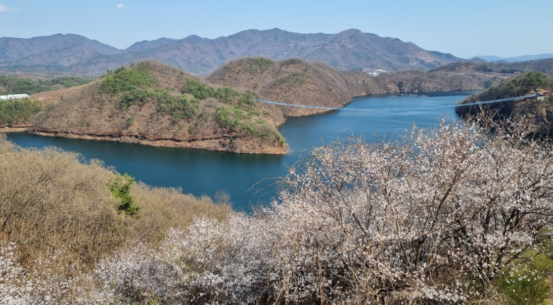 농월정에서 찍은 초평호와 출렁다리