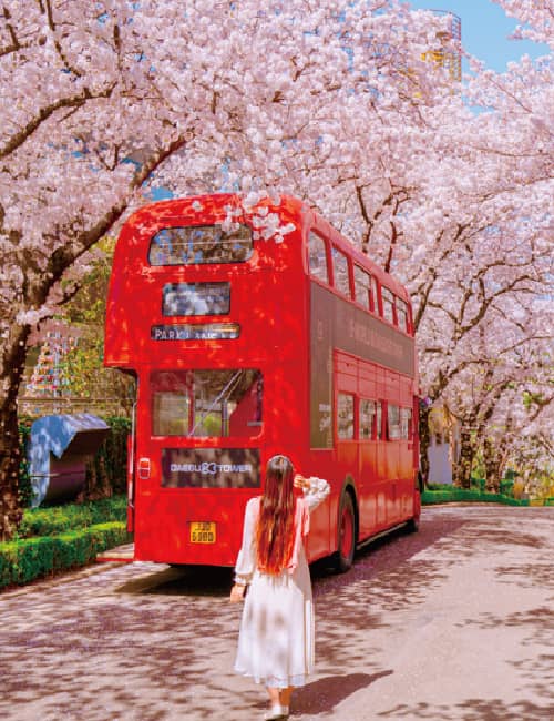 대구 이월드 벚꽃축제&#44; 블라썸 피크닉 포토존 위치 지도